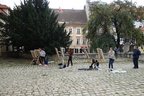 DSC01239